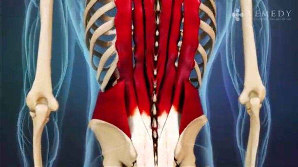 Video bệnh lý cơ xương khớp 65